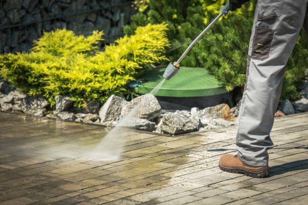 Best Spring Cleaning  in New Egypt, NJ