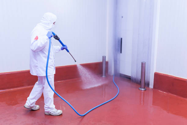 Best Sidewalk and Walkway Cleaning  in New Egypt, NJ